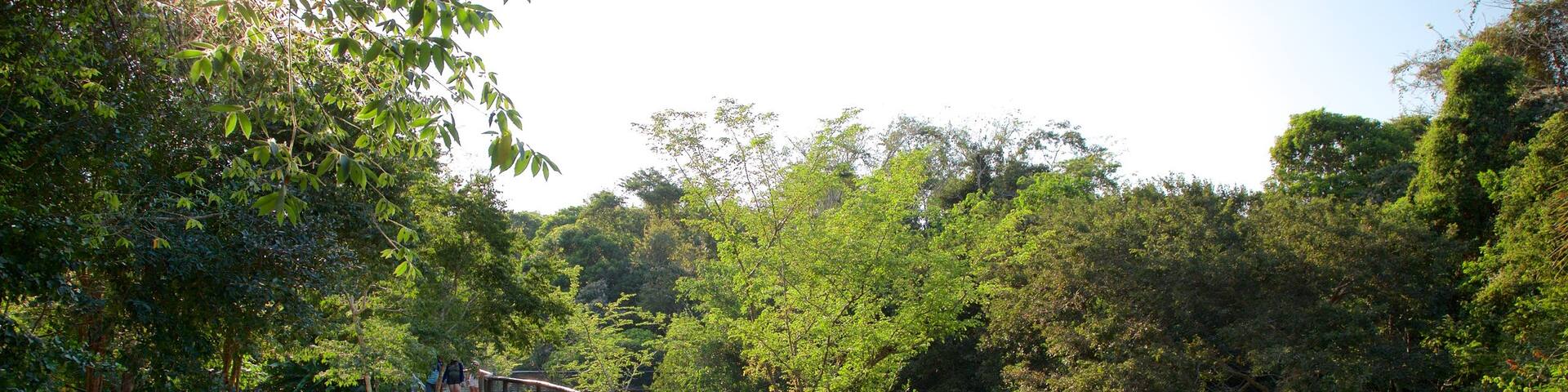 Aluxes Eco Park which includes zoo animals