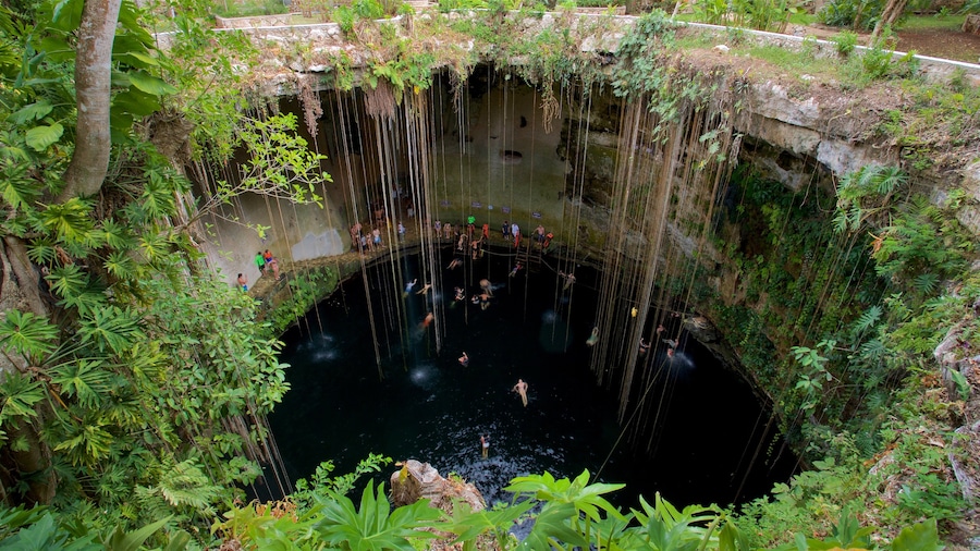 Cenote Ik kil que incluye natación y un lago o abrevadero y también un pequeño grupo de personas