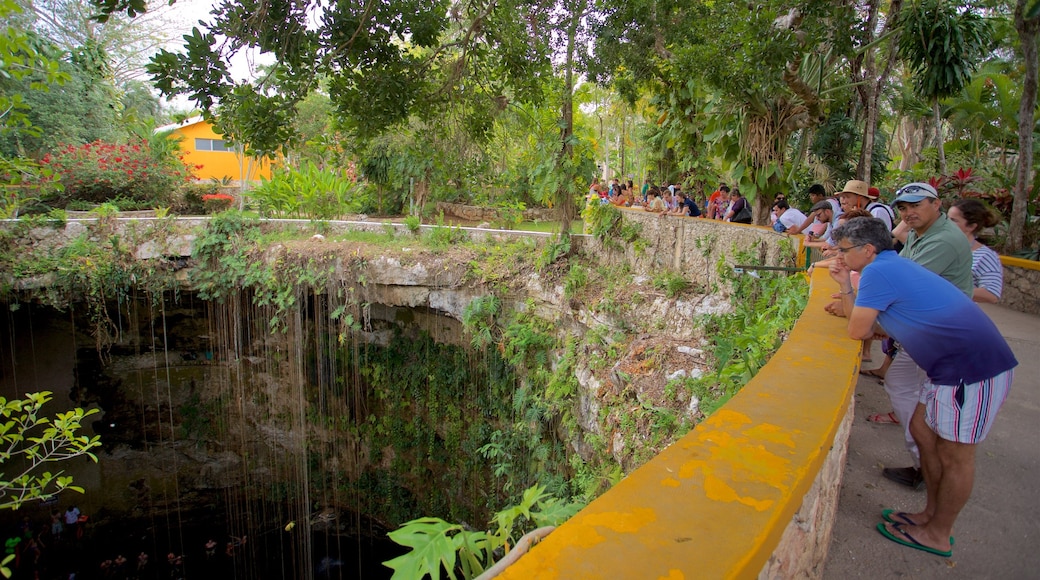 Cenote Ik kil showing a lake or waterhole and a garden as well as a small group of people