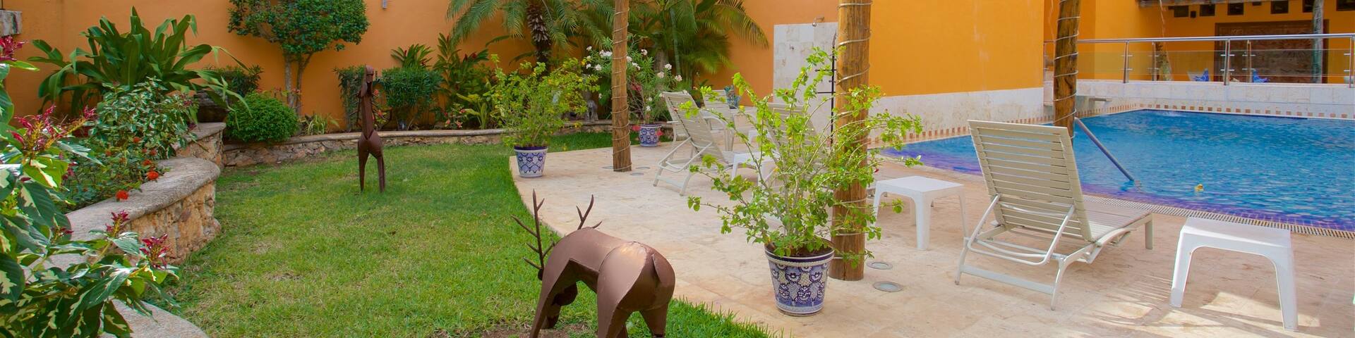 Casa de los Venados featuring outdoor art and a pool