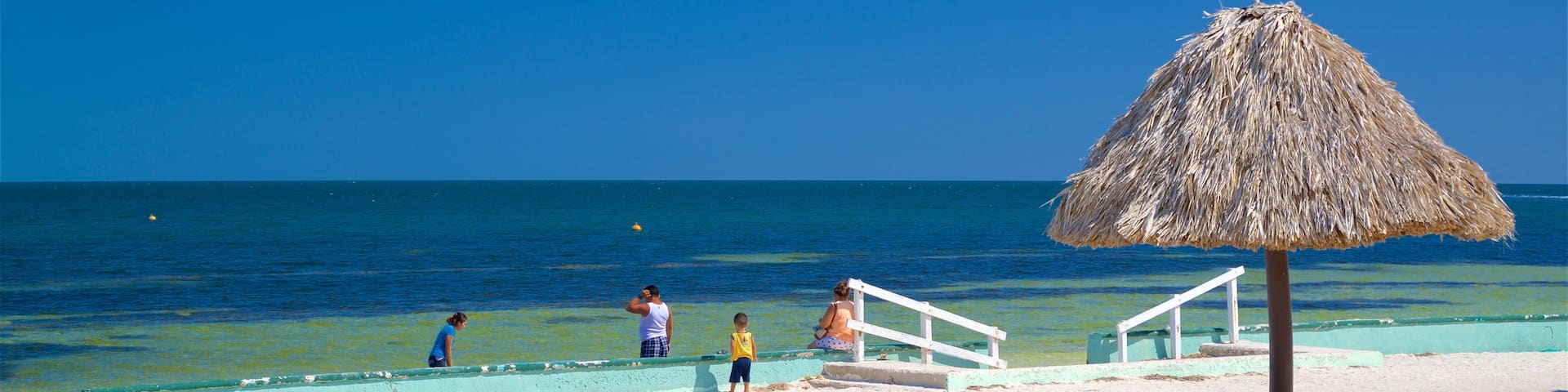 Bonita Beach featuring general coastal views, tropical scenes and a sandy beach