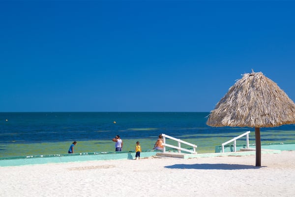 ボニータ ビーチ どの含み 海岸線の眺め, 常夏の風景 と ビーチ