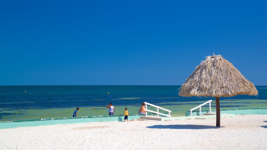 Bonita Beach which includes tropical scenes, a beach and general coastal views