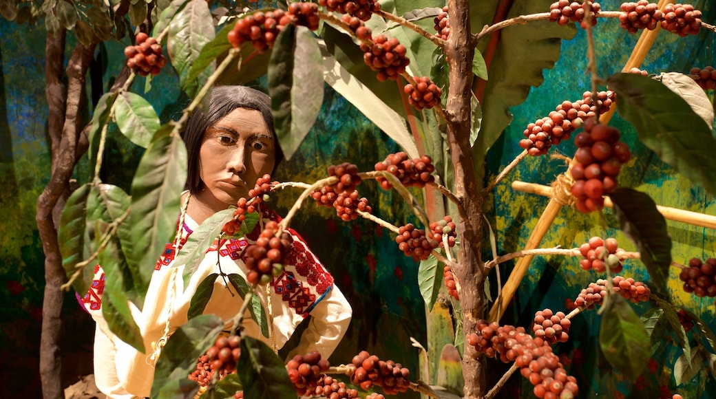 Coffee Museum showing interior views