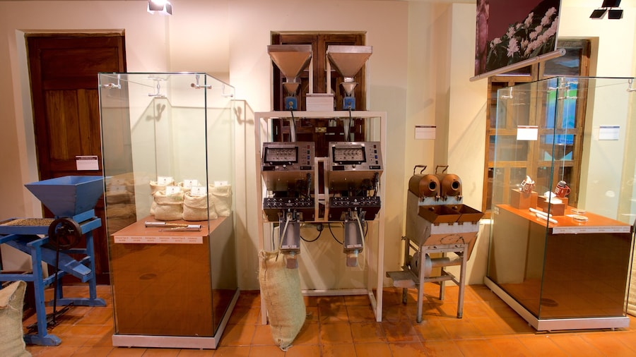 Coffee Museum which includes interior views