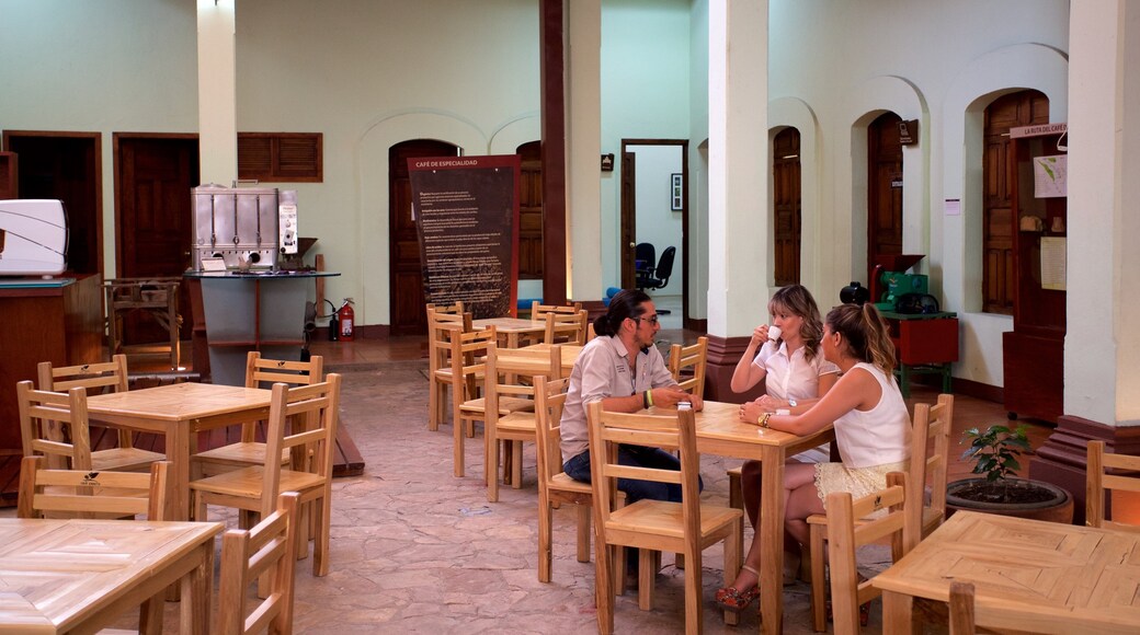 Museo del caffè che include vista interna e caffè cosi come un piccolo gruppo di persone