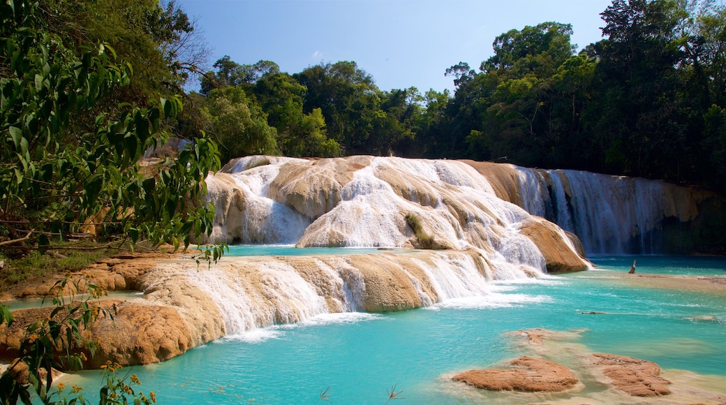 Air Terjun Agua Azul