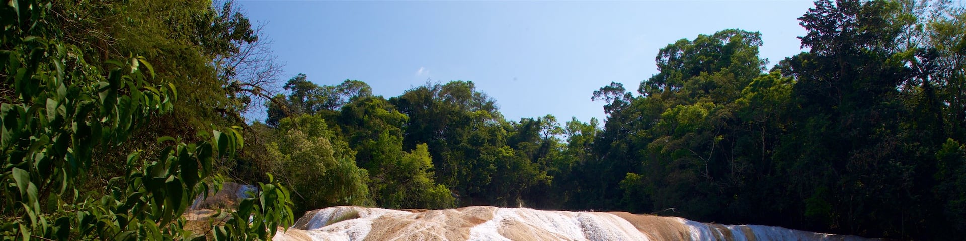 Cascadas de Agua Azul featuring a waterfall and a river or creek