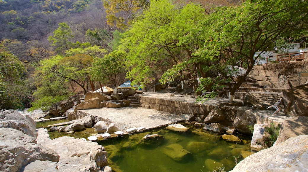 El Chorreadero 其中包括 池塘 和 寧靜的景觀