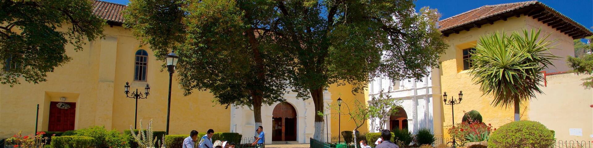 Templo del Carmen ofreciendo un parque y también un pequeño grupo de personas