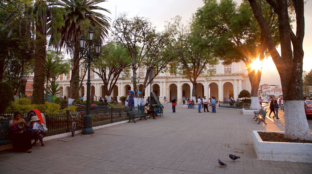 Plaza 31 de Marzo featuring a sunset and a garden as well as a small group of people