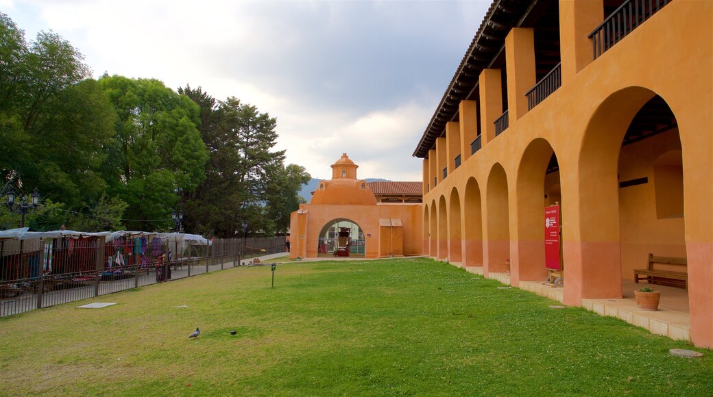 Templo & Ex-Convento de Santo Domingo showing a garden