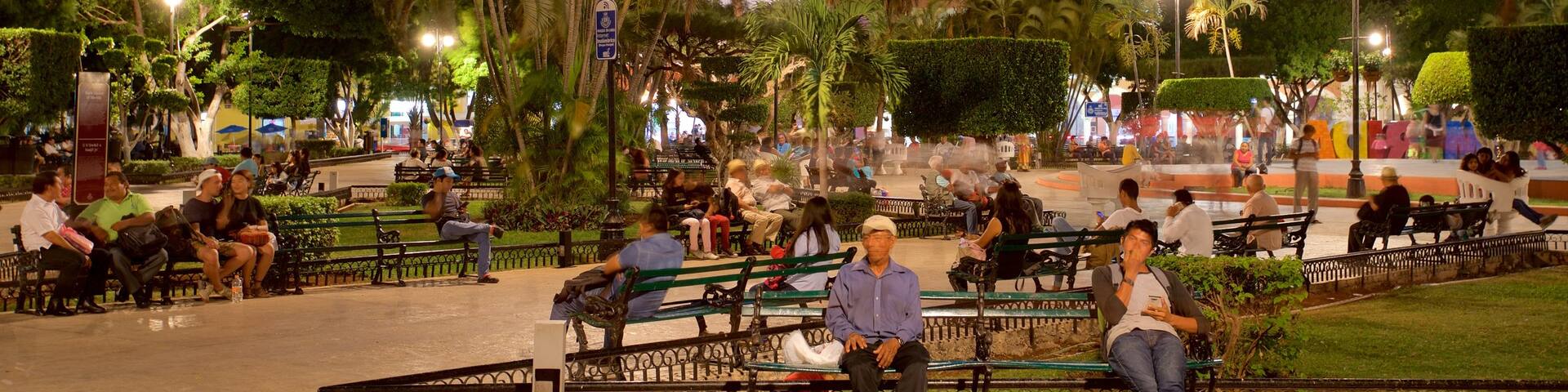 Palacio Municipal featuring a garden and night scenes as well as a small group of people