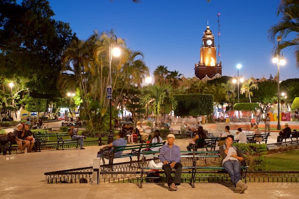 Palacio Municipal which includes night scenes and a park as well as a small group of people