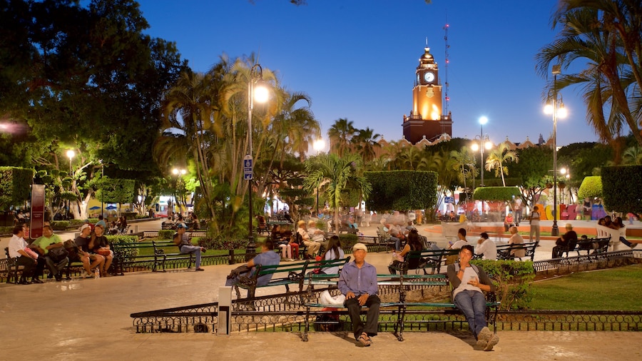 Palacio Municipal che include paesaggio notturno e parco cosi come un piccolo gruppo di persone