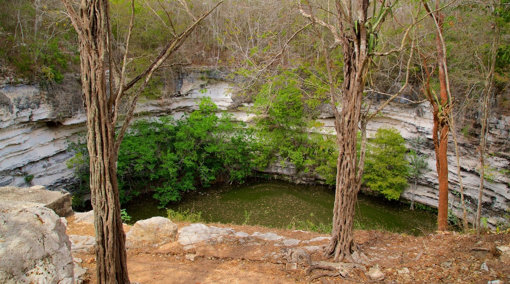 Cenote Sagrado which includes a lake or waterhole