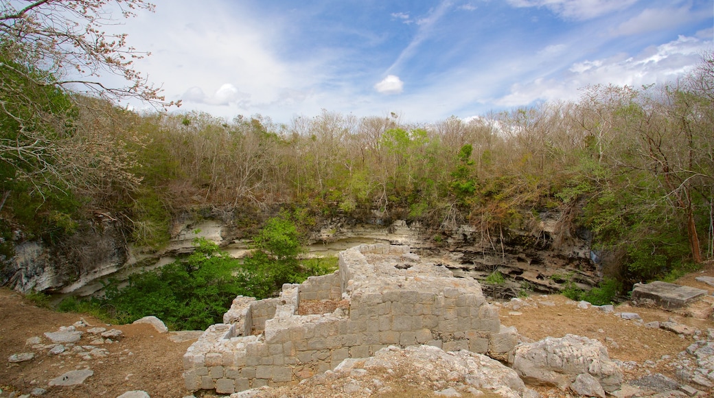 Cenote Sagrado che include paesaggio forestale e rovine