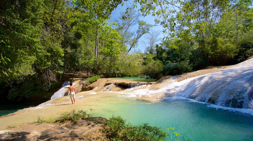 Cascada de Roberto Barrios 을 보여주는 강 또는 시내 뿐만 아니라 남자