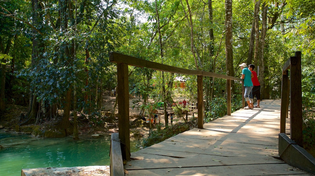 Cascada de Roberto Barrios featuring a bridge and a river or creek as well as a couple