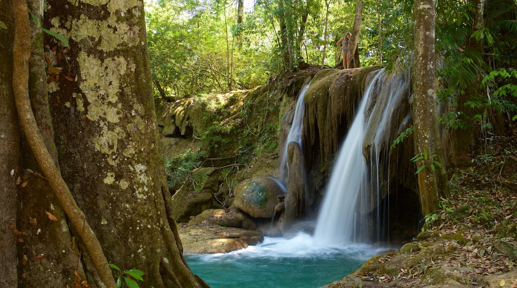 Cascada de Roberto Barrios 其中包括 瀑布 和 河流或小溪 以及 一個女性