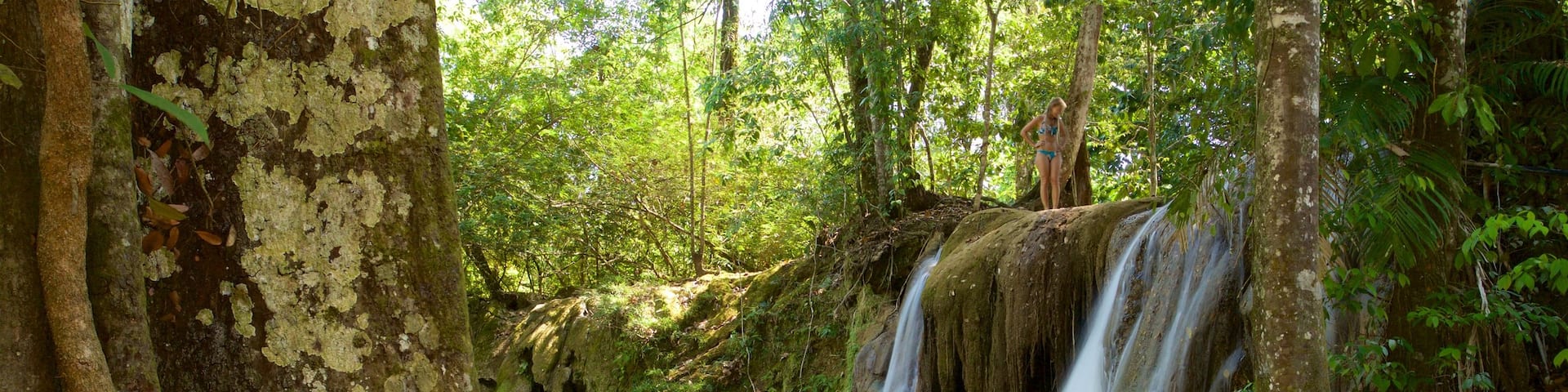 Cascada de Roberto Barrios featuring a river or creek and a cascade as well as an individual femail