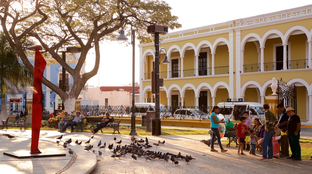 Bang Campeche trong đó bao gồm nghệ thuật đường phố, hoàng hôn và công viên