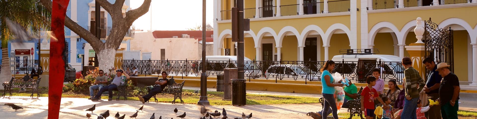 Campeche que incluye un jardín, vida de las aves y arte al aire libre