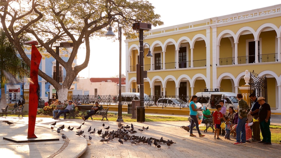 Campeche bevat vogels, een zonsondergang en kunst in de open lucht