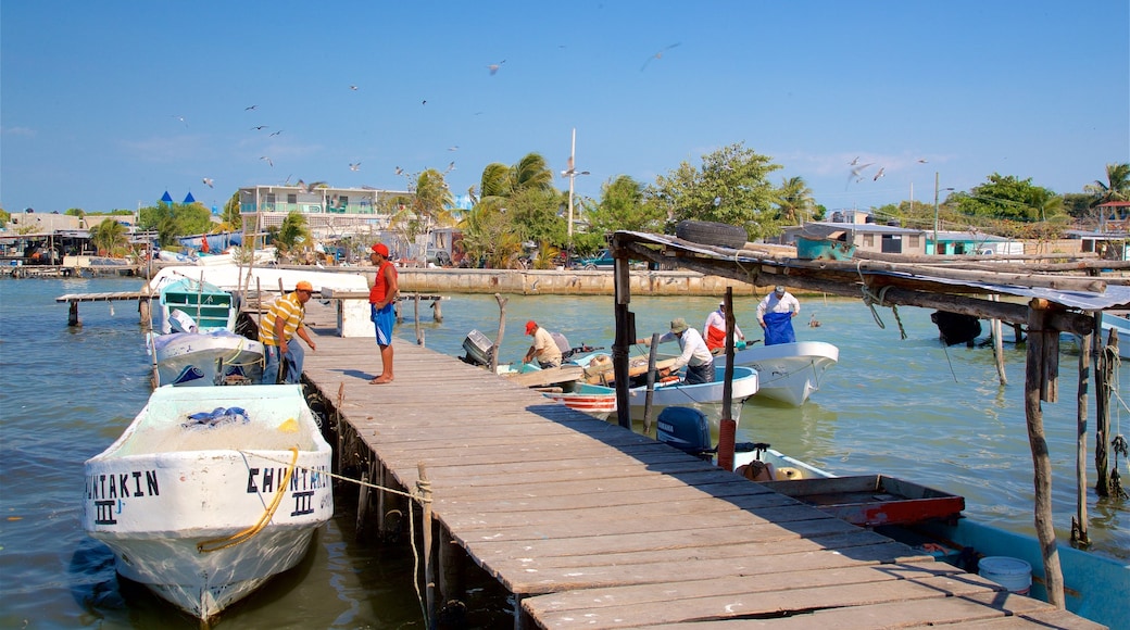 Ciudad del Carmen mostrando una bahía o puerto y también un pequeño grupo de personas