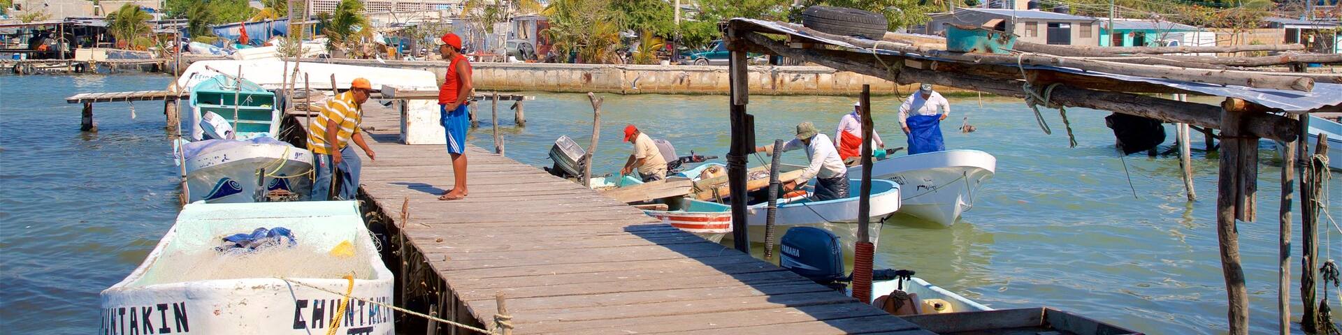 Ciudad del Carmen mostrando una bahía o puerto y también un pequeño grupo de personas