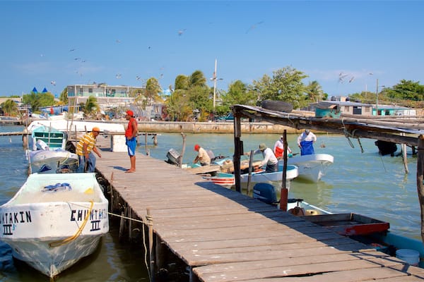 Ciudad del Carmen montrant baie ou port aussi bien que petit groupe de personnes