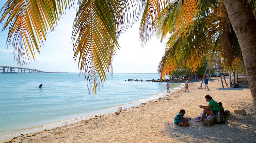 Ciudad del Carmen showing general coastal views and a beach as well as a small group of people