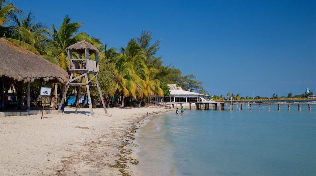 Ciudad del Carmen ofreciendo una playa de arena, un puente y escenas tropicales