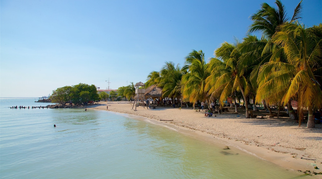 Ciudad del Carmen showing general coastal views, tropical scenes and a sandy beach