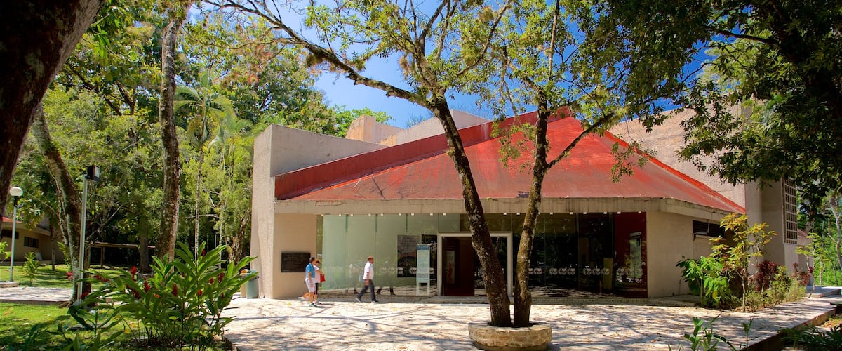 Palenque featuring a park