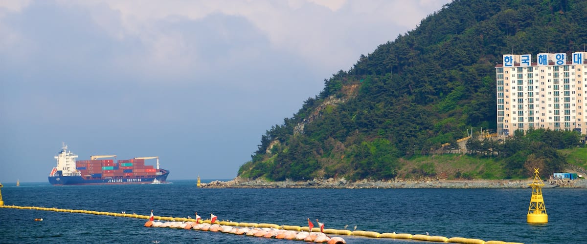 Yeongdo which includes boating, a bay or harbor and general coastal views