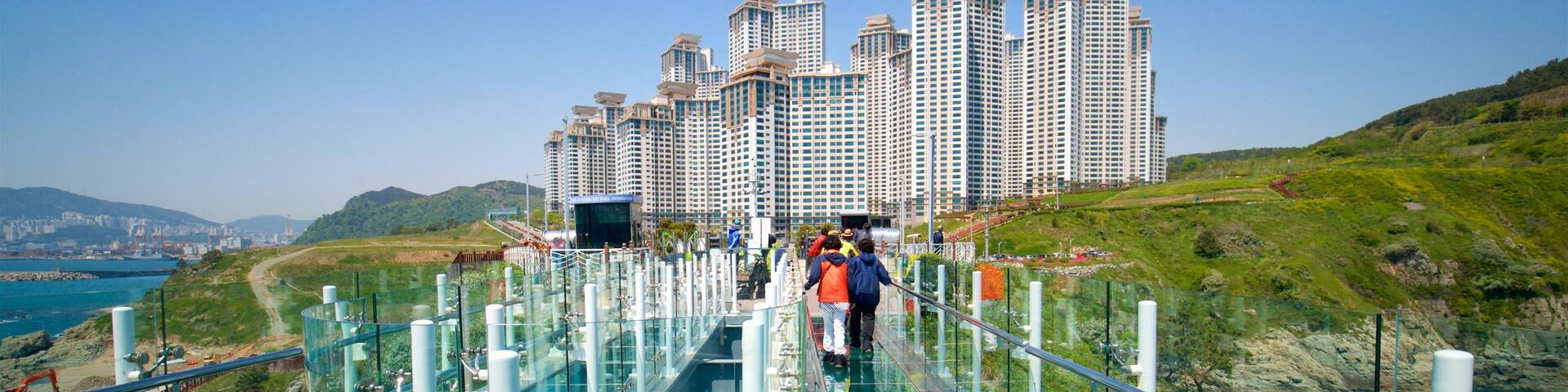 Busan welches beinhaltet Landschaften, Stadt und Brücke