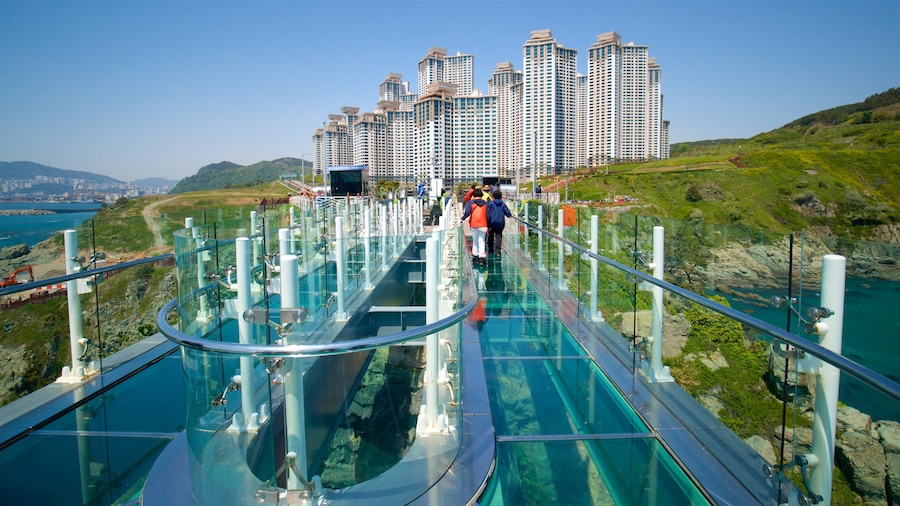 Busan toont landschappen, een brug en een wolkenkrabber