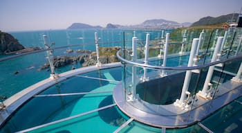 Busan showing a bridge, rocky coastline and general coastal views