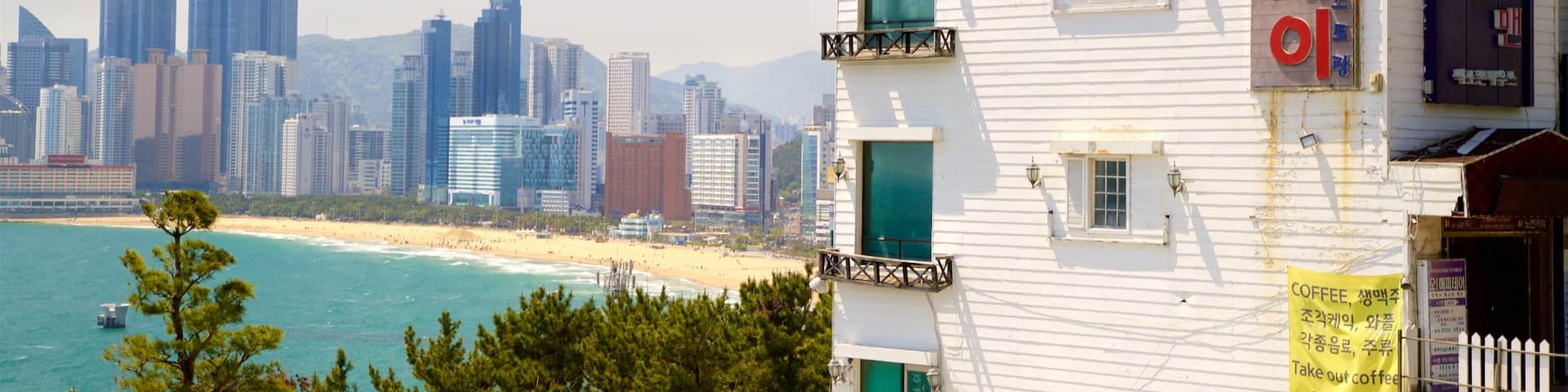 Dalmaji Hill featuring general coastal views, a coastal town and a beach