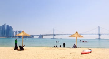 Gwangalli Beach som inkluderar en stad, en strand och kustutsikter