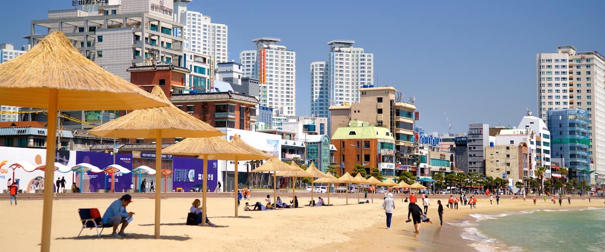 ๊ด์๋ฆฌ ํด์์์ฅ ์ ๋ณด์ฌ์ฃผ๋ ์ผ๋ฐ ํด์ ์ ๊ฒฝ, ๋์ ๊ณผ ํด๋ณ