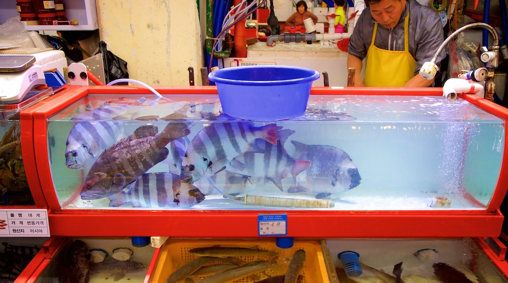 Marché aux poissons de Jagalchi qui includes vie marine et marchés