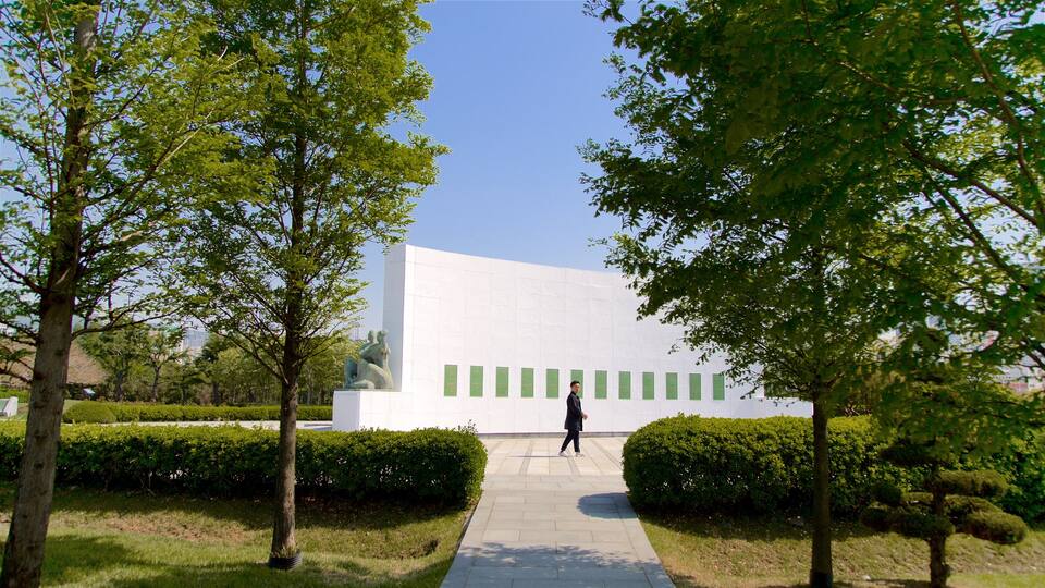 UN Memorial Cemetery showing a park as well as an individual male