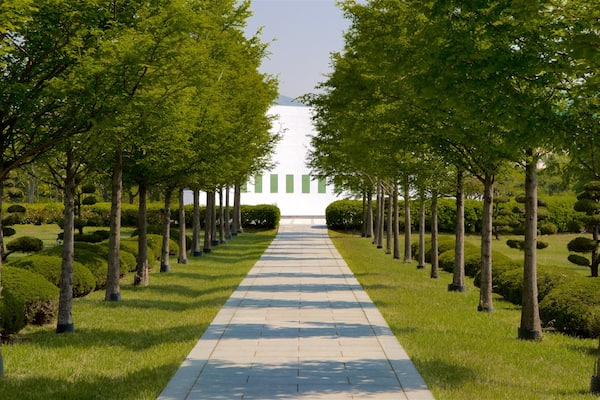 UN Memorial Cemetery showing a park