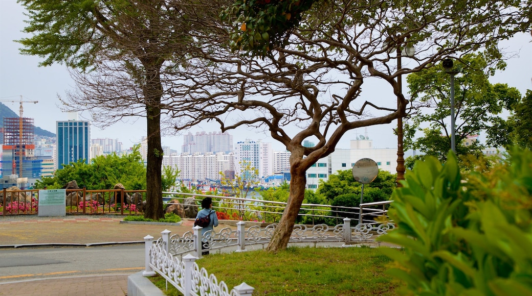 Yongdusan Park showing a park and a city