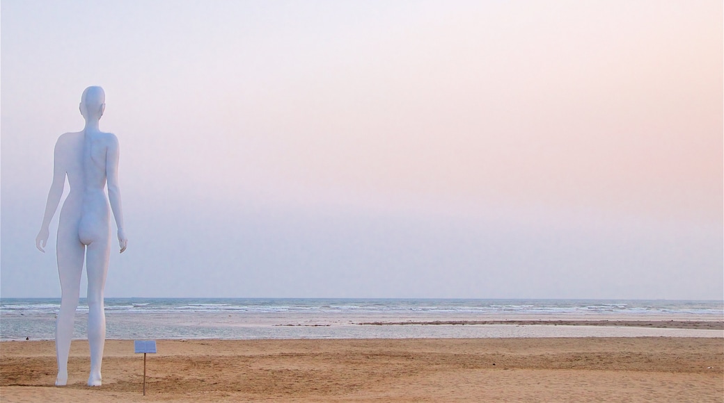 Dadaepo strand som viser kyst, sandstrand og solnedgang