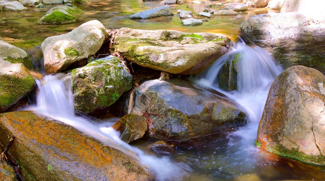 Geumjeongsan mostrando un río o arroyo