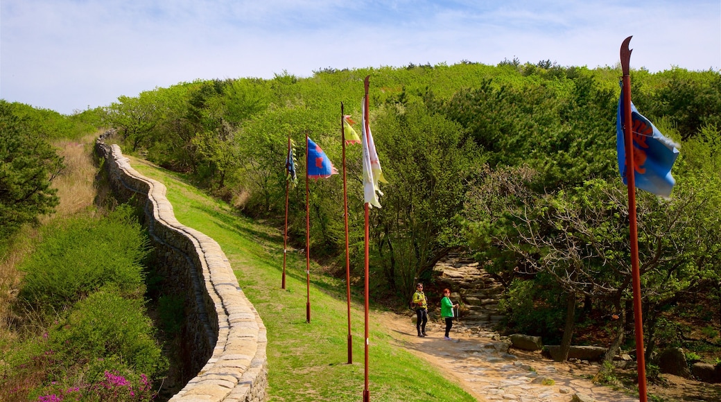 Geumjeongsan mostrando vista del paesaggio e paesaggi rilassanti cosi come coppia