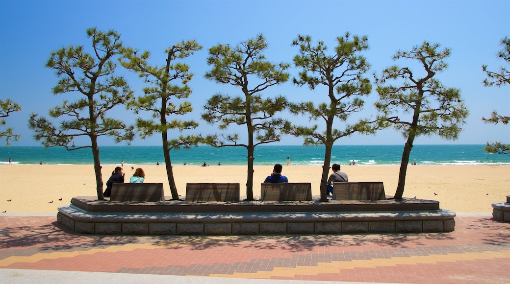 Haeundae Beach which includes a beach and general coastal views as well as a small group of people